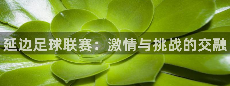  延边足球联赛：激情与挑战的交融
