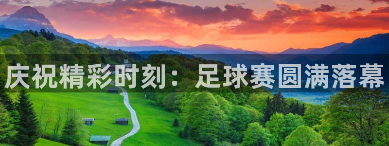  庆祝精彩时刻：足球赛圆满落幕