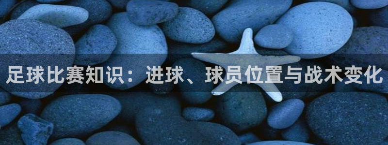  足球比赛知识：进球、球员位置与战术变化