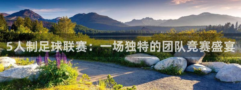 5人制足球联赛：一场独特的团队竞赛盛宴