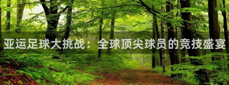 亚运足球大挑战：全球顶尖球员的竞技盛宴