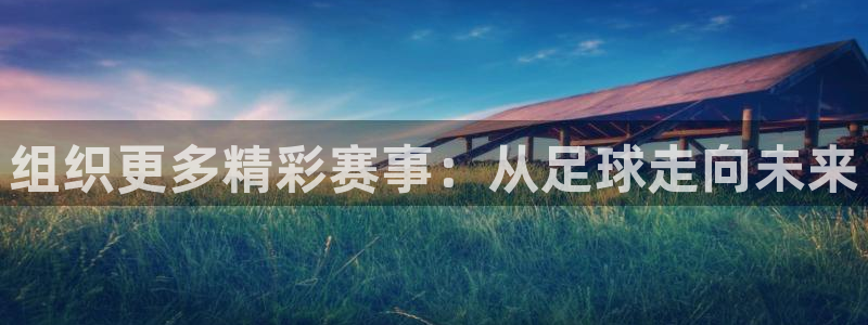 组织更多精彩赛事：从足球走向未来