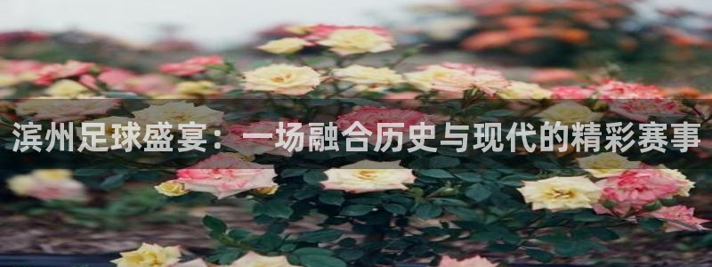  滨州足球盛宴：一场融合历史与现代的精彩赛事