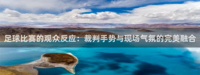  足球比赛的观众反应：裁判手势与现场气氛的完美融合