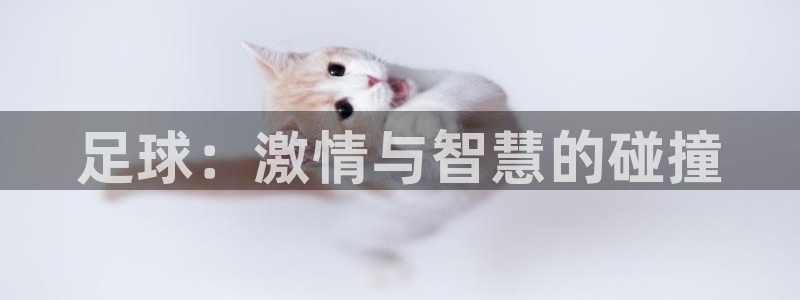  足球：激情与智慧的碰撞