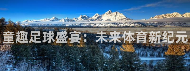  童趣足球盛宴：未来体育新纪元