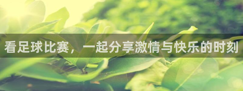 看足球比赛，一起分享激情与快乐的时刻