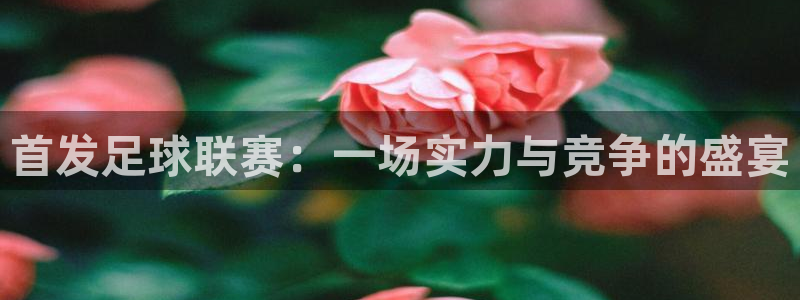 首发足球联赛：一场实力与竞争的盛宴