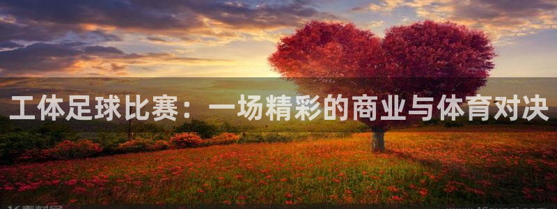  工体足球比赛：一场精彩的商业与体育对决