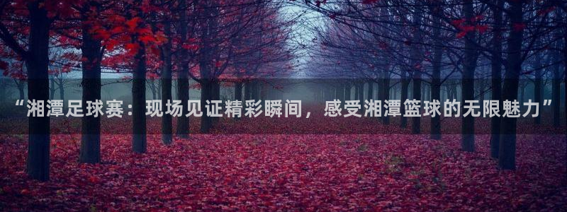  “湘潭足球赛：现场见证精彩瞬间，感受湘潭篮球的无限魅力”