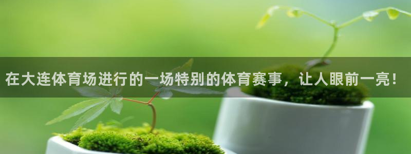 在大连体育场进行的一场特别的体育赛事，让人眼前一亮！
