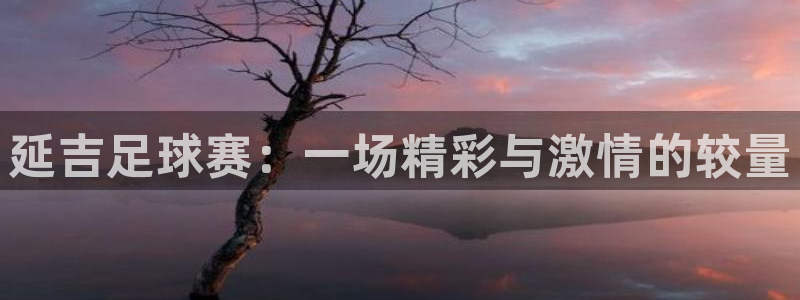 延吉足球赛：一场精彩与激情的较量