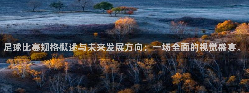  足球比赛规格概述与未来发展方向：一场全面的视觉盛宴。