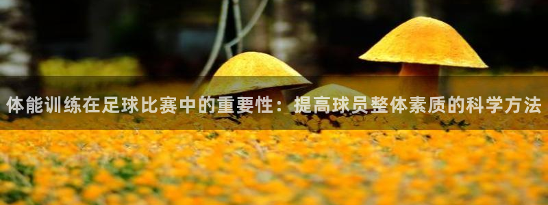 体能训练在足球比赛中的重要性：提高球员整体素质的科学方法