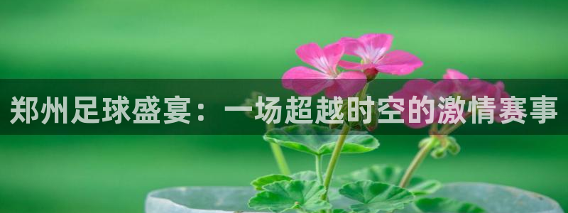 郑州足球盛宴:一场超越时空的激情赛事
